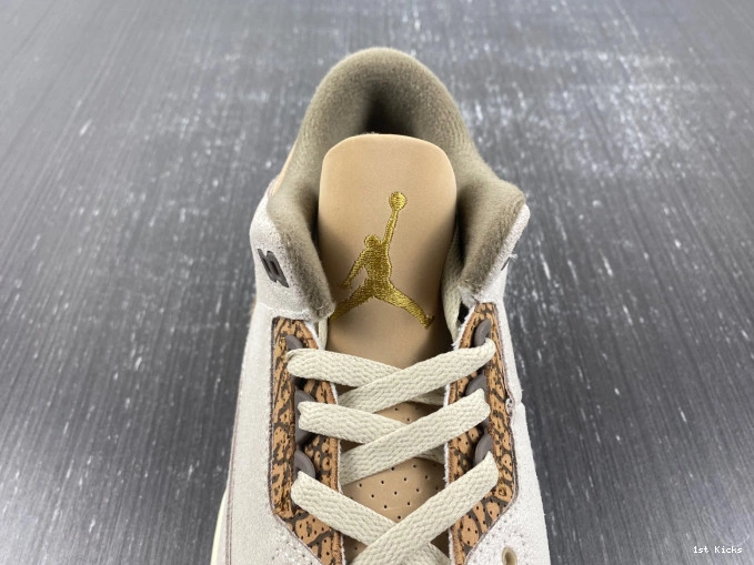 CT8532-102 Jordan Air Palomino 3 0816
